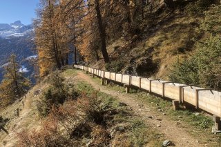 La réhabilitation du Grand Bisse de St-Luc permet d'irriguer 12 hectares de terres agricoles
